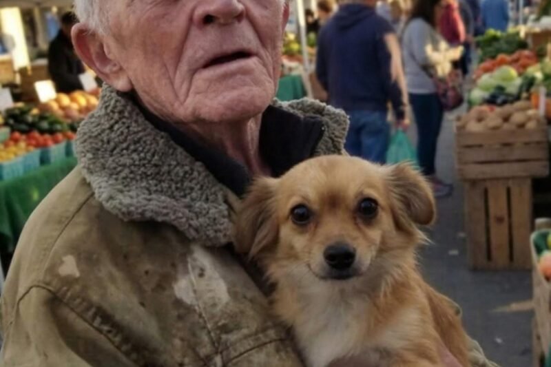 🥺 Koupila jsem jídlo pro starého muže a jeho psa — a ráno u dveří mě čekalo něco, co mě doslova paralyzovalo! 😱 🤰 Je mi 28 let, jsem v sedmém měsíci těhotenství a sama.