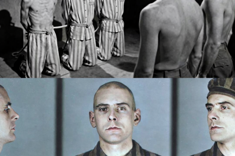 Homos3xuální vězni, přezdívaní „chlapci pro potěšení“, čekali na svou popravu, ale Němci…