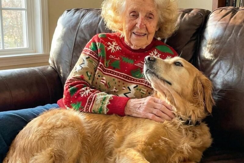 Moje babička zemřela 😢 — a to, co po sobě zanechala, nebylo napsáno v její závěti 📜✨