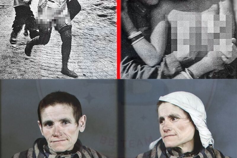 Mezi lety 1933 a 1945 nebyl systém více než sta koncentračních táborů nacistického Německa v Evropě pouze místem genocidy, ale také prostorem děsivé reality: proměny lidského utrpení v organizovanou formu zábavy pro pachatele. Heinrich Himmler, architekt tohoto systému, věřil, že udržení morálky tisíců příslušníků SS vyžaduje nasměrování násilí do specifických forem „zábavy“, jejichž cílem bylo upevnit odlidštění obětí. Tak vznikaly aktivity navržené nejen k trestu, ale i k pobavení utlačovatelů v rámci systému, který proměnil hrůzu v každodenní návyk.  Jednou z nejznámějších forem byly brutální boxerské zápasy pořádané v neděli v Auschwitz. Zatímco většina vězňů pomalu umírala hlady a nemocemi, jiní byli nuceni vstoupit do provizorního ringu uprostřed tábora. Kolem nich stáli důstojníci, sázeli, smáli se a pili alkohol. Nešlo o tajnou aktivitu, ale o součást systému. Každý zápas mohl rozhodnout, zda vězeň přežije další týden, nebo bude poslán do plynové komory. Box se stal nástrojem veřejného ponížení, kdy vyhladovělí vězni museli bojovat mezi sebou nebo dokonce proti příslušníkům SS. Zápasy neměly rozhodčí ani pravidla a končily teprve tehdy, když velící důstojník rozhodl, že podívaná skončila. Mnozí bojovali až do bezvědomí, jiní byli po porážce okamžitě popraveni.  Typickým příkladem je případ Tadeusze Pietrzykowského, polského boxera registrovaného jako vězeň číslo 77. Byl donucen absolvovat více než šedesát zápasů během dvou let. Jeho první zápas proběhl před stovkami vězňů a desítkami důstojníků. Pokud by prohrál, čekal by ho okamžitý trest. Protože však zvítězil, stal se opakovanou „atrakcí“. Musel bojovat proti mnohem těžším soupeřům bez tréninku, bez vody a bez odpočinku, často po dnech těžké nucené práce. Dalším případem je Young Perez, světový šampion v muší váze tuniského židovského původu. Když dorazil do Osvětimi v roce 1943, vážil méně než 45 kilogramů. Jeden z důstojníků ho poznal a přinutil jej zápasit pro pobavení opilých strážných. Perez bojoval nejen kvůli vlastnímu přežití, ale také proto, že věděl, že pokud neposkytne dostatečnou „podívanou“, jiní vězni mohou být potrestáni. Nakonec byl během pochodu smrti zastřelen a jeho tělo zůstalo ležet ve sněhu.  V táboře Mauthausen byl velitel Franz Ziereis znám svou zálibou v zápasech španělského republikána Segunda Españy. Zápasy probíhaly pod dohledem stráží, které mezi sebou sázely pomocí přídělů alkoholu, cigaret či povolení k návštěvám. V průmyslových komplexech Osvětimi zašla perverze ještě dál, když zaměstnanci koncernu IG Farben organizovali boxerské zápasy během poledních přestávek a nutili vězně z různých pracovních skupin bojovat proti sobě. Pravidla byla extrémně brutální: boj do bezvědomí, bez rukavic, ruce omotané špinavými hadry. Před každým zápasem museli vězni nahlas recitovat své identifikační číslo a „zločin“ proti Říši.  Hudba byla rovněž přetvořena v nástroj brutality. V Birkenau, nedaleko prostoru určeného pro důstojníky, musel ženský orchestr složený z vězeňkyň každou neděli odpoledne hrát skladby autorů jako Ludwig van Beethoven či Franz Schubert. Zvuk houslí měl překrývat sténání žen uvnitř. V Auschwitz I vznikl mužský orchestr, který doprovázel ranní pochody na nucené práce ve 4:30. I ti nejslabší vězni se museli snažit držet rytmus; kdo upadl, byl vlečen dál. Ženský orchestr v Birkenau vedla Alma Rosé, talentovaná houslistka židovského původu. Hudebnice neměly vlastní nástroje, hrály na předměty zabavené předchozím obětem. Trestem za chybu při hraní mohla být smrt. Hudba byla používána i při veřejných popravách, aby potlačila kolektivní emocionální reakci davu. V krutém paradoxu ideologie byli židovští hudebníci někdy nuceni hrát své tradiční písně či hymny těsně před transportem do krematorií nebo na smrtící práce.  👇👇👇 Pokračování na odkazu.