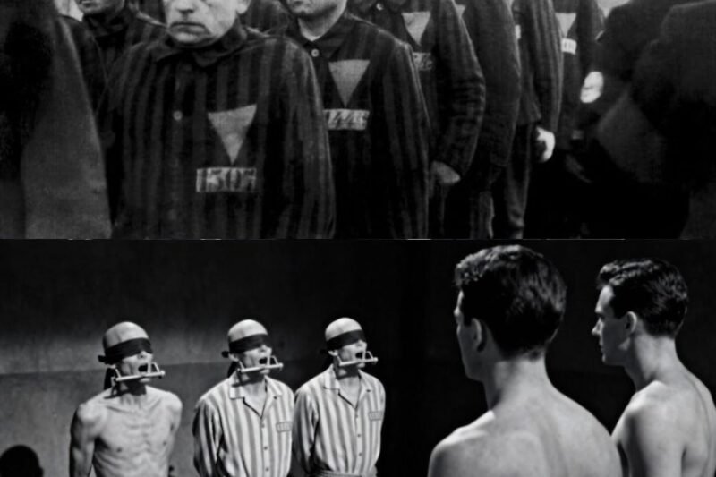 V roce 2001 francouzská historička Isabelle Fontaine prováděla výzkum v archivech koncentračního tábora Flossenbürg v Bavorsku. Hledala dokumenty o francouzských vězních deportovaných během války. V zaprášené krabici objevila registr, o němž se v žádné odborné studii dosud nemluvilo.  Registr nesl podivný název: Lustknaben-Verzeichnis. V překladu z němčiny to znamenalo „Seznam chlapců pro potěšení“. Dr. Fontaine jej otevřela – uvnitř byly stovky jmen, převážně francouzských. Vedle každého jména byl ručně nakreslený růžový trojúhelník a datum. Vždy pouze jedno datum, nikdy dvě.  Zpočátku nechápala, na co se dívá. Teprve při porovnání těchto údajů s dalšími archivními záznamy odhalila pravdu. „Lustknaben“, tedy „chlapci pro potěšení“, tvořili specifickou skupinu francouzských homosexuálních vězňů. Byli vybíráni podle věku, postavy a určitých znaků, které příslušníci SS považovali za žádoucí.  Datum uvedené u každého jména nebylo datem příchodu do tábora, ale datem úmrtí.  Co však činilo tento objev skutečně mrazivým, bylo to, co se odehrávalo mezi výběrem a popravou. „Chlapci pro potěšení“ neumírali okamžitě. Týdny, někdy i měsíce, žili odděleně v samostatném baráku.  V baráku, kde se jim dostávalo zacházení zcela odlišného od ostatních vězňů: skutečné jídlo, čisté oblečení, teplé sprchy, cigarety. A pak jednoho dne, bez varování, byli popraveni.  Dr. Fontaine zasvětila následující roky rekonstrukci historie tohoto systému. Shromažďovala svědectví přeživších – nikoli samotných „chlapců pro potěšení“, protože žádný z nich nepřežil, ale vězňů, kteří s nimi byli v kontaktu a viděli, co se děje. Odhalila jednu z nejzvrácenějších a nejméně zdokumentovaných forem nacistické krutosti.  V nacistické ideologii byli homosexuálové považováni za „zvrhlé“ – muže, kteří se vzdali své mužnosti, byli „zženštilí“ a představovali hrozbu pro čistotu árijské rasy. Tato nenávist však koexistovala s něčím dalším. S něčím, co nacisté nikdy oficiálně nepřiznali, ale co prosvítalo z jejich činů: s fascinací…  Podrobnosti níže 👇👇