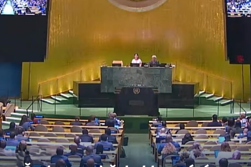 Česko se zdrželo hlasování o klimatické rezoluci OSN, bylo jediné v EU